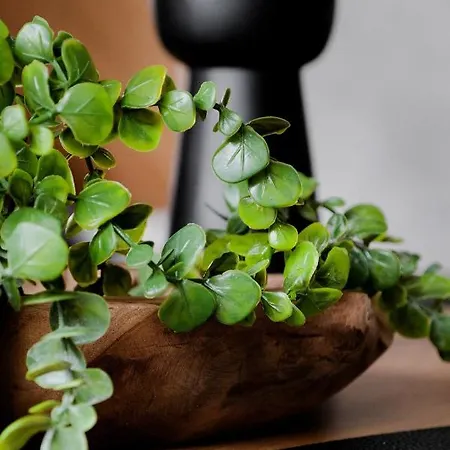 펜션 Panorama Z Jacuzzi