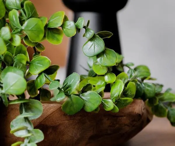 Prázdninový dům Panorama Z Jacuzzi